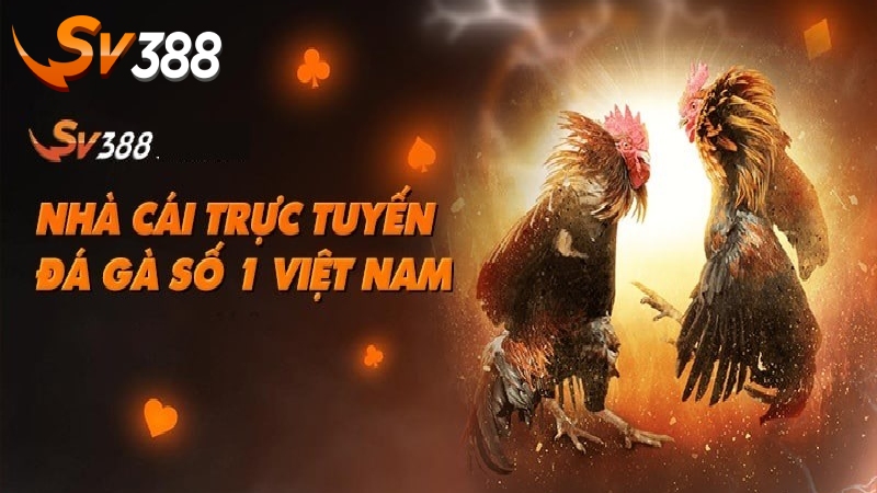 CEO Thảo Vân Đồng Hành Cùng Sự Phát Triển Bền Vững Của SV388